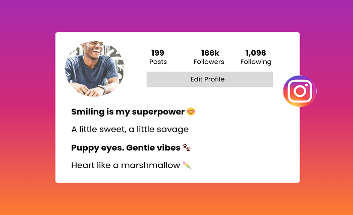 instagram bio