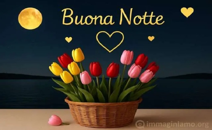 stupende immagini buonanotte bellissime